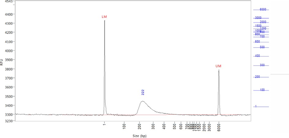 Distribution of fragment size on a normal fragment analyzer output.