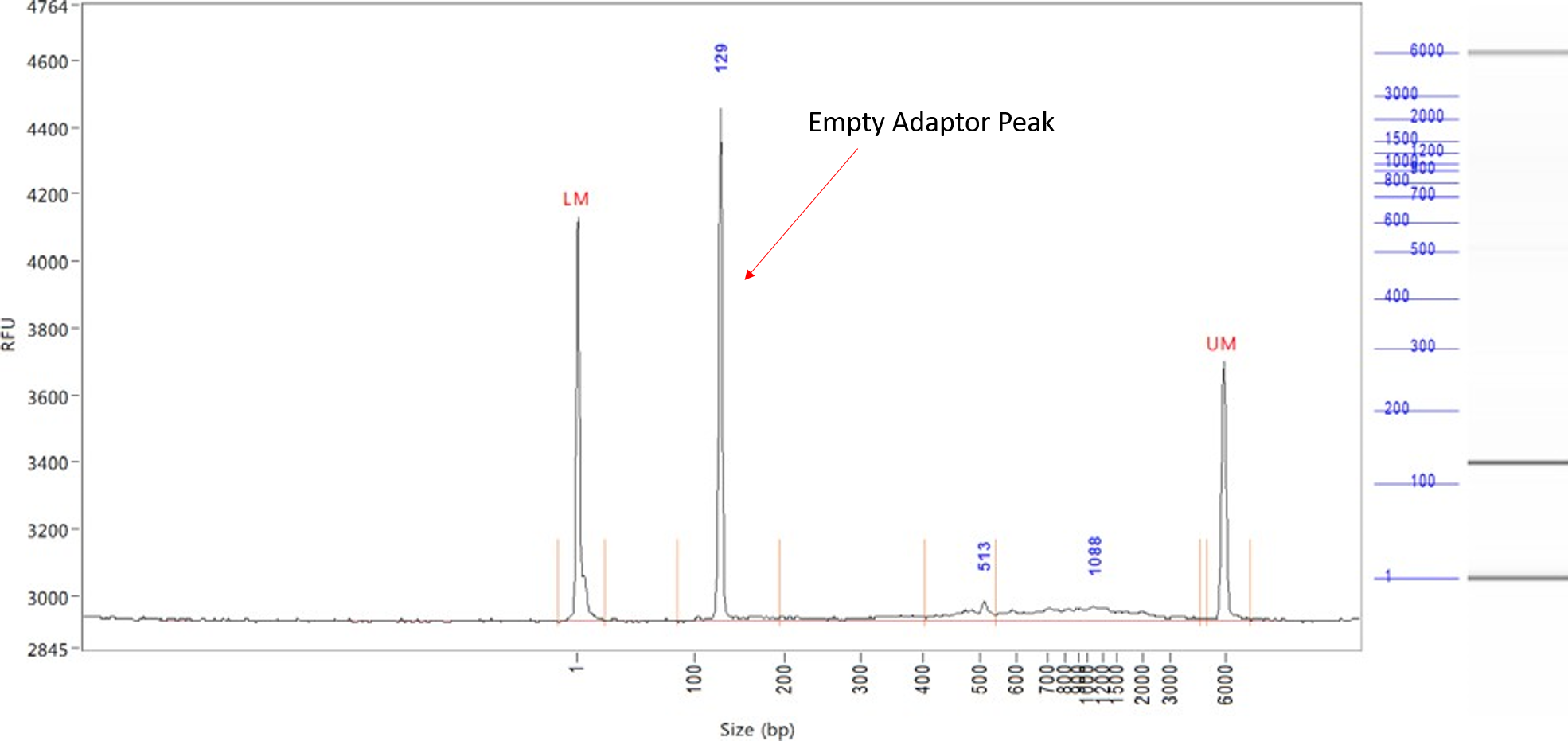 Distribution of fragment size on a contaminated fragment analyzer output.