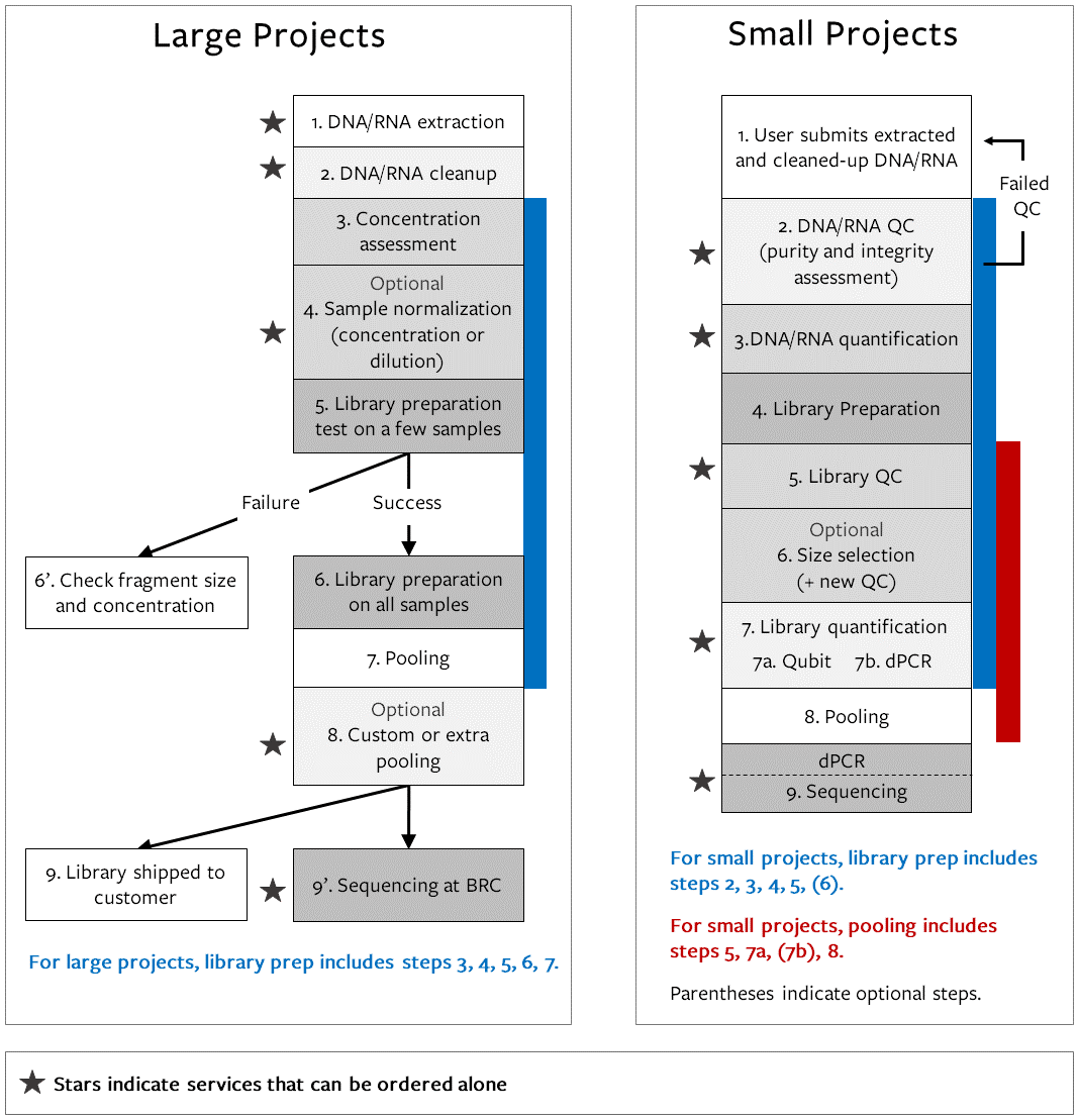 Graphical representation of steps in small and large project library preparation pipelines