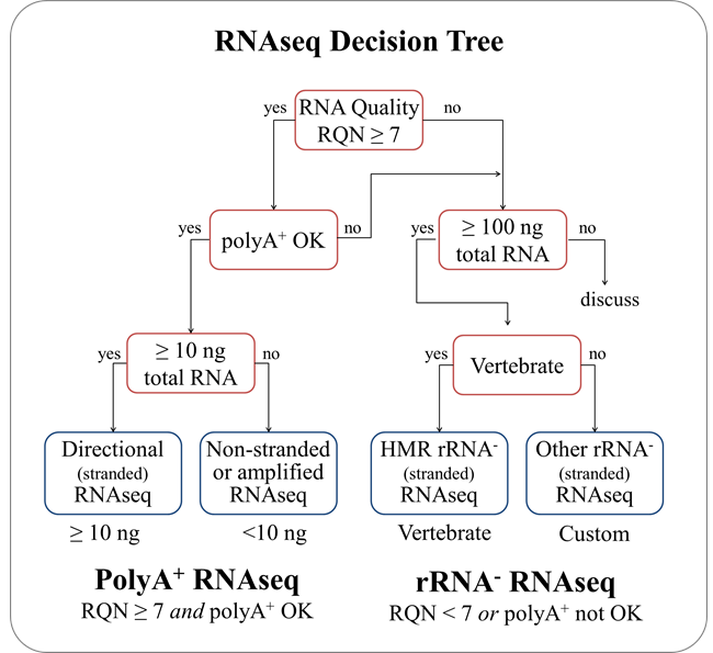 A Diagram showing an RNASeq Decision Tree