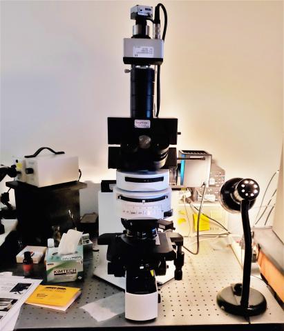 Fluorescence metamorph microscope