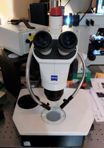 zeiss stereomicroscope insrument