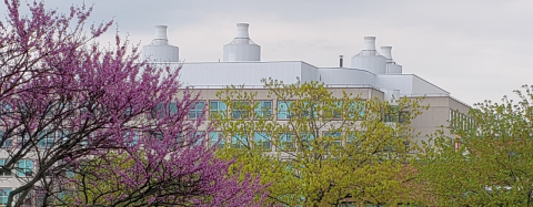 artistic picture of the biotechnology building 