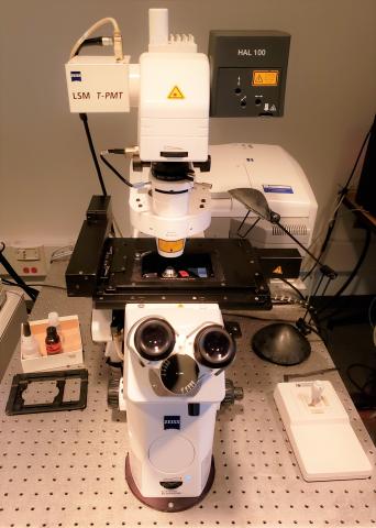 confocal microscope 710 instrument