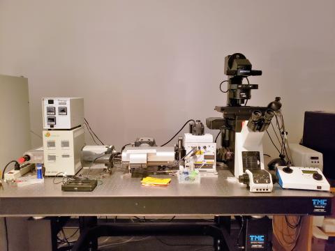 Andor spinning disk microscope