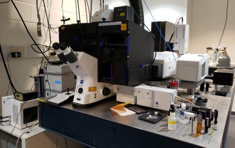 multiphoton i880 microscope instrument