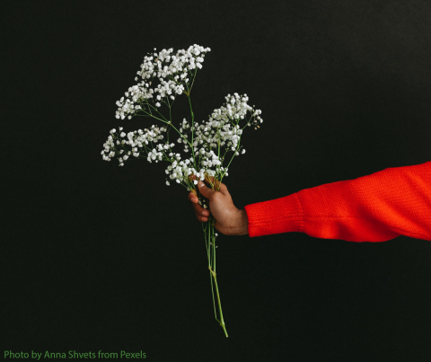 Someone handing out a bouquet of flowers