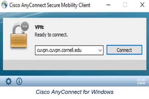 Screenshot of the Cisco Anyconnect Client on Windows with the address cuvpn.cuvpn.cornell.edu