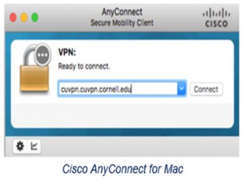 Screenshot of the Cisco Anyconnect Client on MacOS with the address cuvpn.cuvpn.cornell.edu