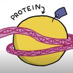 Image showing cartoon of an epigenetic principal from a ted talk we are linking to