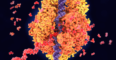 artistic rendition of RNA transcription