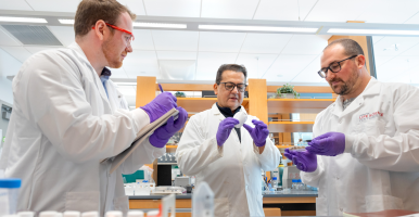 Chris Thomas, the CEO of RETRN Bio, (left), Juan Hinestroza, the Rebecca Q. Morgan ’60 Professor of Fiber Science and Apparel Design in the College of Human Ecology, and Ryan Scheel, the chief science officer of RETRN Bio, discuss how to upcycle agricultural waste streams and process them into biodegradable polymers.